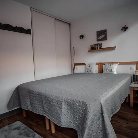 Chaleureux 4/6 Pers, Pied Des Pistes, Park. Apartament La Mongie