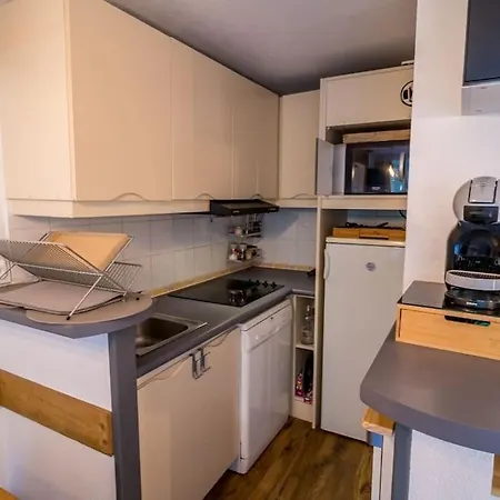Chaleureux 4/6 Pers, Pied Des Pistes, Park. *